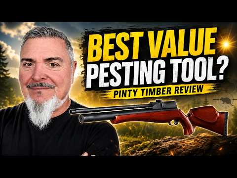 Pinty Timber Airgun Review: Affordable Pesting Power That Works