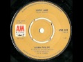Lovely Lady  - Shawn Phillips