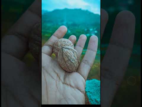 How to On/Off Watermark in Lightroom 😊🙈. #trending #lightroom #watermark