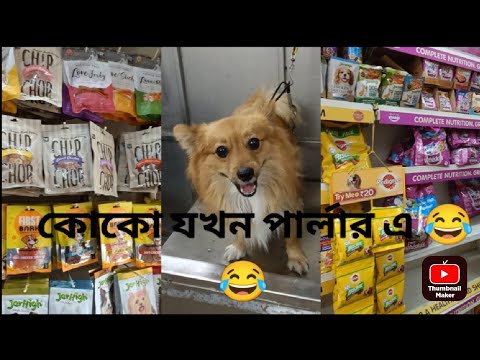 Mr Coco's grooming 😂😂 @Travelwithfoody