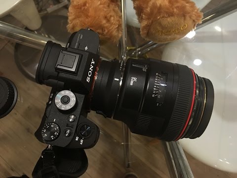 Sigma MC-11 + Canon EF 85mm f1.2L II on sony A7R2