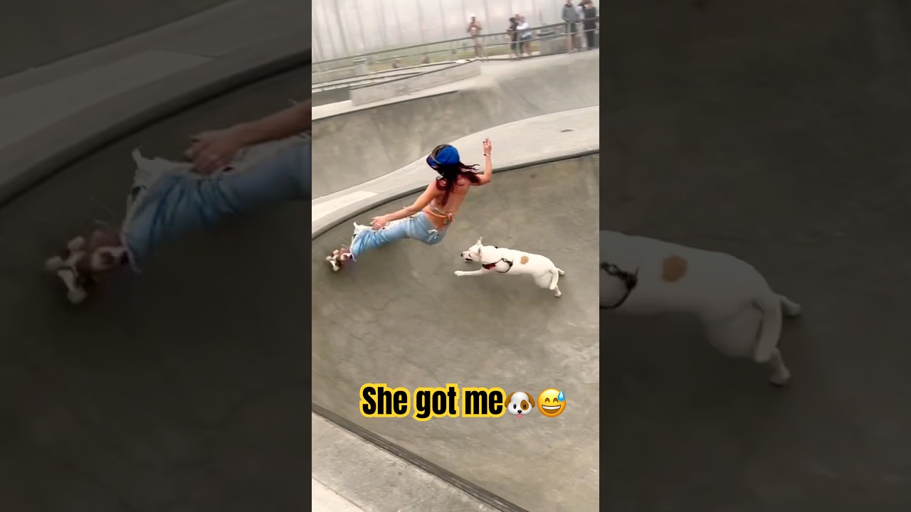 My dog properly stopped me in the bowl🐶❤️🧡💛 #rollerskating #dog #skatepark #california