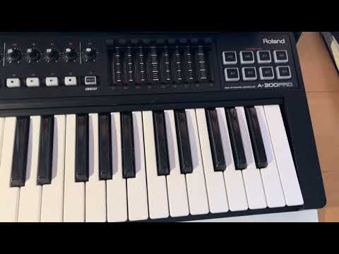 Roland A-300PRO 25-Key MIDI Keyboard Controller 2010 - Present - Black image 9