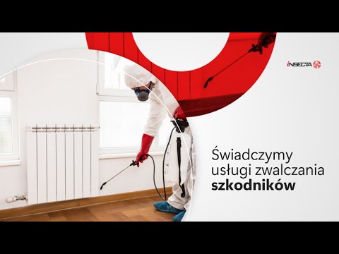 Insecta Centrum zwalczania szkodników Dariusz Bielecki - video