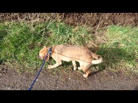 Simon & Ashira (2020.02.23)