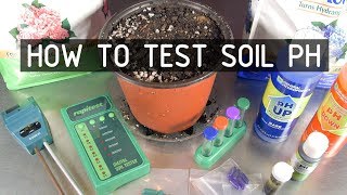 How to Test & Adjust Soil PH for Growing Cannabis Plants ( Seeds, Soil & Sun: Season 2 Ep 2)