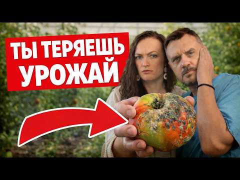 ОСТАНОВИТЕСЬ! Эти 5 весенних ошибок уничтожают урожай