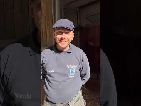 Pillole di Ippica - L'arte della mascalcia (Episodio 1)