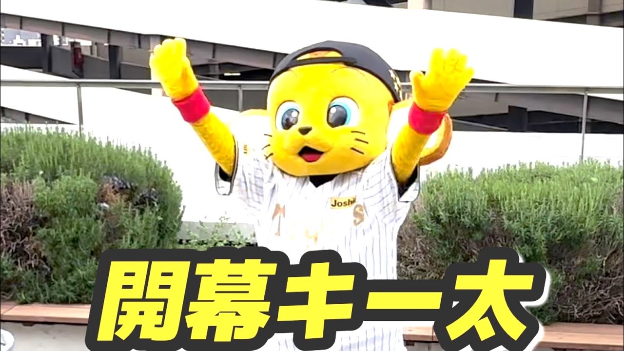 2026.3.31開幕京セラドーム　キー太🐯