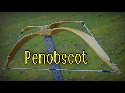 Making a Penobscot Double Bow