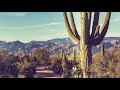 Hazy Summer Vibes II Hermanos Gutierrez Playlist