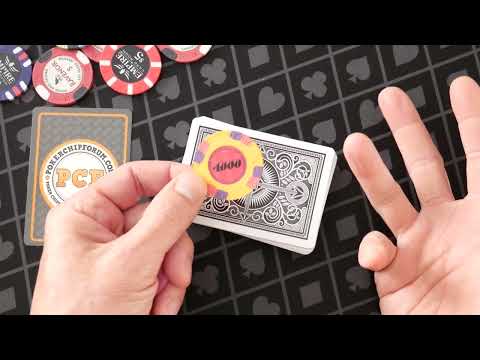 Ceramic Chips - Tina vs Sun Fly Poker Chips - Why Not Paulson?