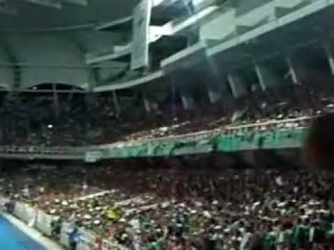 "CALI SOS MI VIDA MI PASIÓN" Barra: Frente Radical Verdiblanco • Club: Deportivo Cali