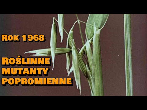 "Mutacje" (1968) /CAŁY FILM/