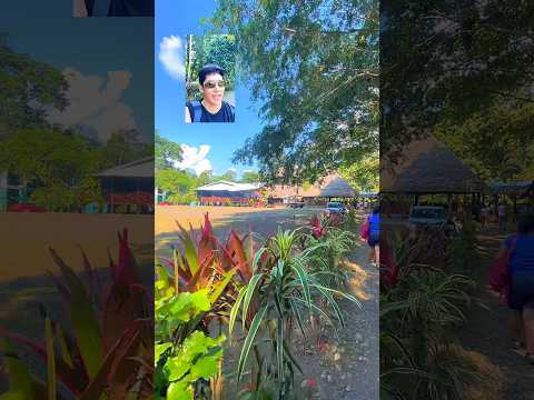 CTC CARACHUPA PAKCHA - PARTE 3 - Loreto - Orellana - Ecuador #ecuador #turismoecuador #turismo