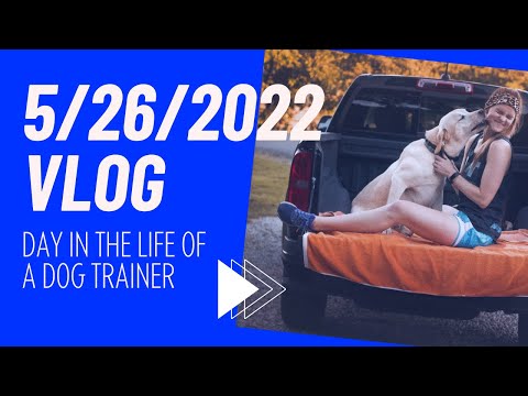 5/26/2022 Vlog - Day in the life of a dog trainer