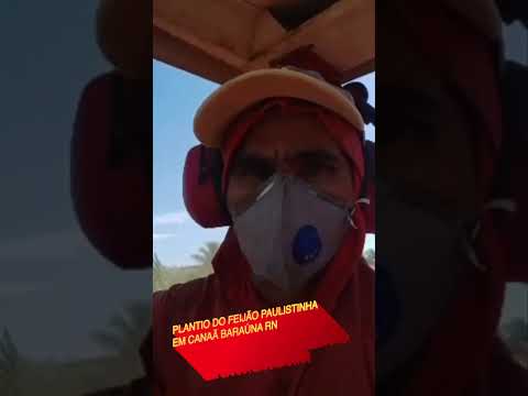 #3. Começou o Plantio de Feijão Carioquinha em Canaã, Baraúna-R