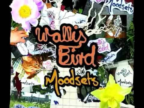 Wallis Bird- Moodsets (Part Time Heroes Remix)