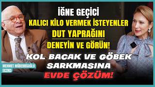 Kalıcı Kilo Vermek İsteyenler Dut Yaprağını Deneyin ve Görün! Kol Bacak Göbek Sa