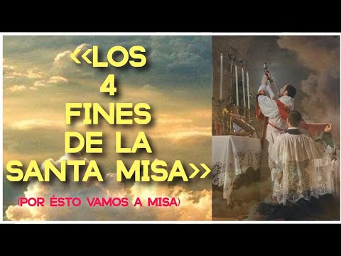 🚨🙏🏻¡POR ÉSTOS 4 FINES ASISTÍMOS A MISA! #catolico #catequesisvirtual #fé #oracion