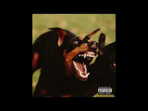 [FREE] METRO X 21 SAVAGE X OFFSET TYPE BEAT "DAWG"