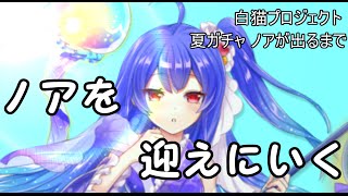 【白猫】夏ガチャ!　ノアが出るまで引く!!!【ガチャ】