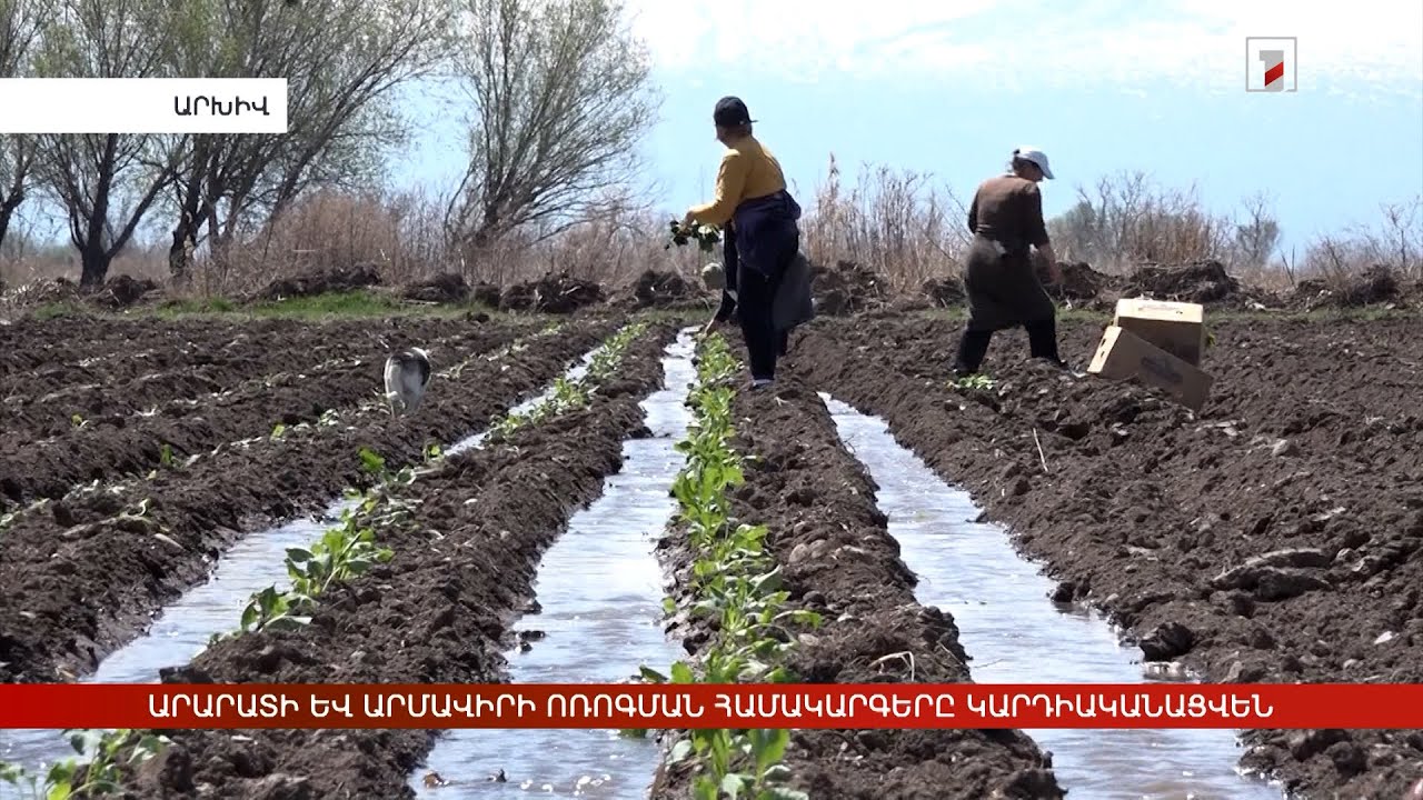 Արարատի և Արմավիրի ոռոգման համակարգերը կարդիականացվեն