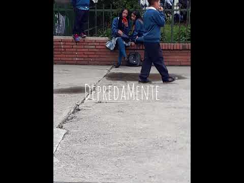 top 5 depredadores captados en cámara