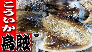 すみいかのさばき方（Cuttlefish）