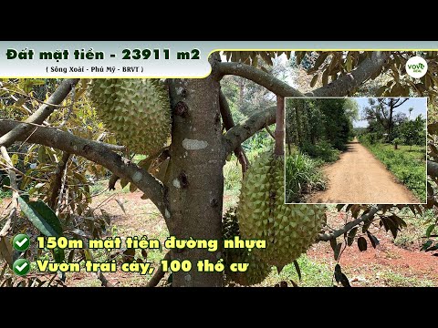 Bán vườn trái cây 23911m2, có 100m2 thổ cư gia 20.3 tỷ tại Sông Xoài, Phú Mỹ