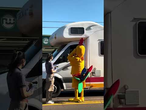 Capiovi - Misiones 📍 El Gallo del Turismo Rural dando la bienvenida a nuestros visitantes🤩🙌🏼