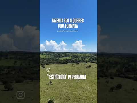 62-9-8305-7960  - ENTRE MINEIROS E SANTA RITA