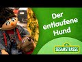 Sesamstraße Folge 3007 Der Entlaufene Hund Sesamstraße NDR