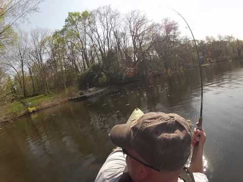 Clarks Pond Winning Fish.mp4