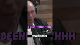 Joe Rogan and Miley Cyrus Iconic Meme😂 | PowerfulJRE Podcast.