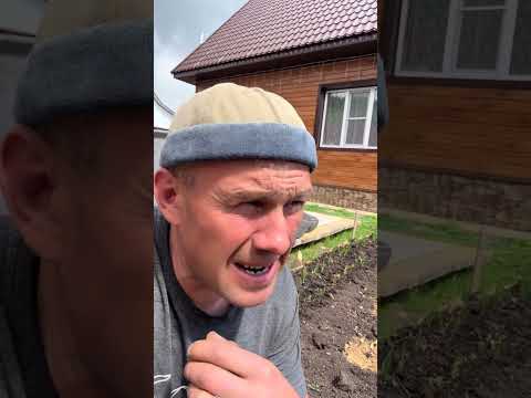 Тёща и картошка😂👍 #юмор #ржака