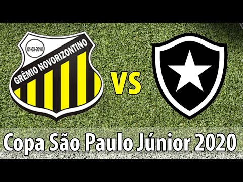 Gols Copa São Paulo - Novorizontino 1 x 1 Botafogo (06/01/2020)