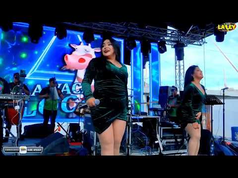 la vaca loca súper orquesta, Toto / la abundancia ￼Sacapulas Quiche 