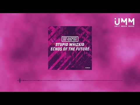 STUPID WHIZKID - Echos of the Future