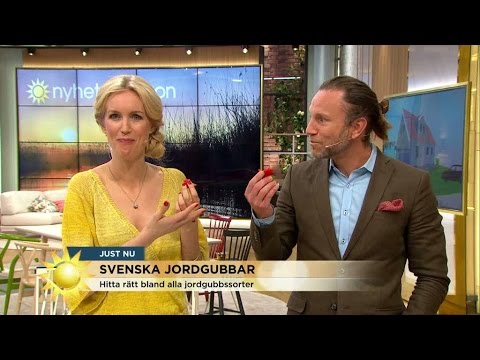 Här chockar Peter Jihde Jenny Strömstedt med snuskskämt!