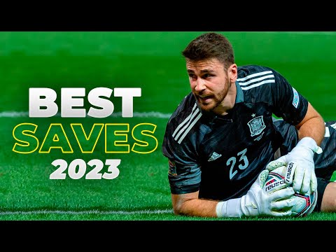 Best Goalkeeper Saves 2023 | HD #3