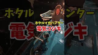 簡単ホタルイカ掬い#ホタルイカ #糸魚川 #糸魚川ホタルイカ
