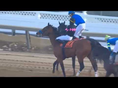 Aqueduct, Race 9  - 06 FEB 2026