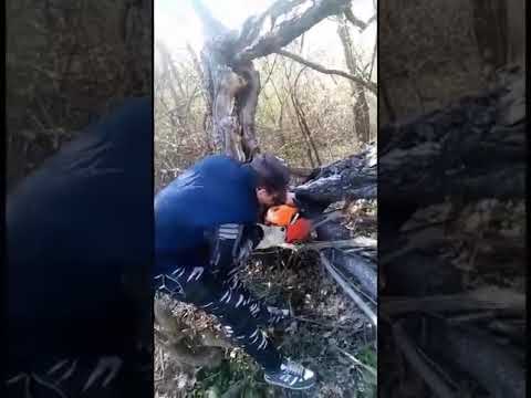 ȘCOALA ALTFEL 2020 - clasa a XII -a M