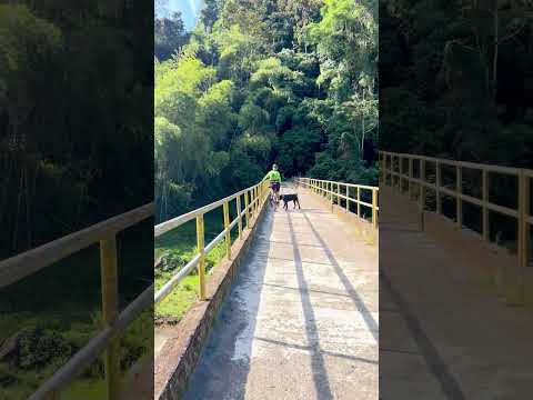 #rioguali #bicidemontaña  #casabianca  #fresnotolima  🚴🏽‍♀️🚴🏽‍♀️👌✨🥰🙏🏻❤️‍🩹🌄