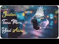 Jado Tenu Meri Yaad Auni DJ Song