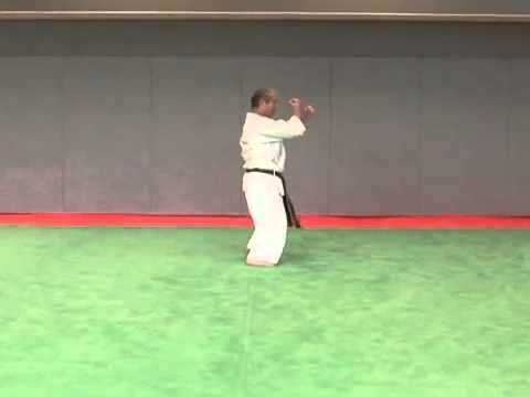 11. Chinto Wado Ryu