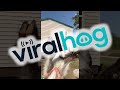 Spinning Goat Screams || ViralHog