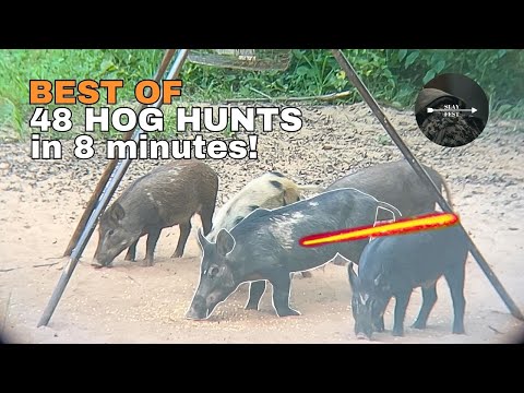 48 Wild Hog Hunts in 8 Minutes! (ULTIMATE BOWHUNTING COMPILATION)