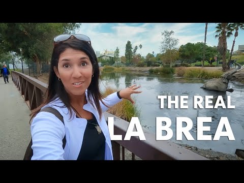 , title : 'La Brea: the real tar pits | Los Angeles, CA'